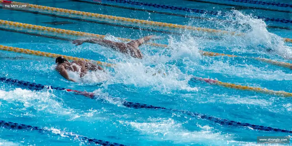 500505百万文字论坛综合资料——🎯汗水不白流，胜利在前头！🏅